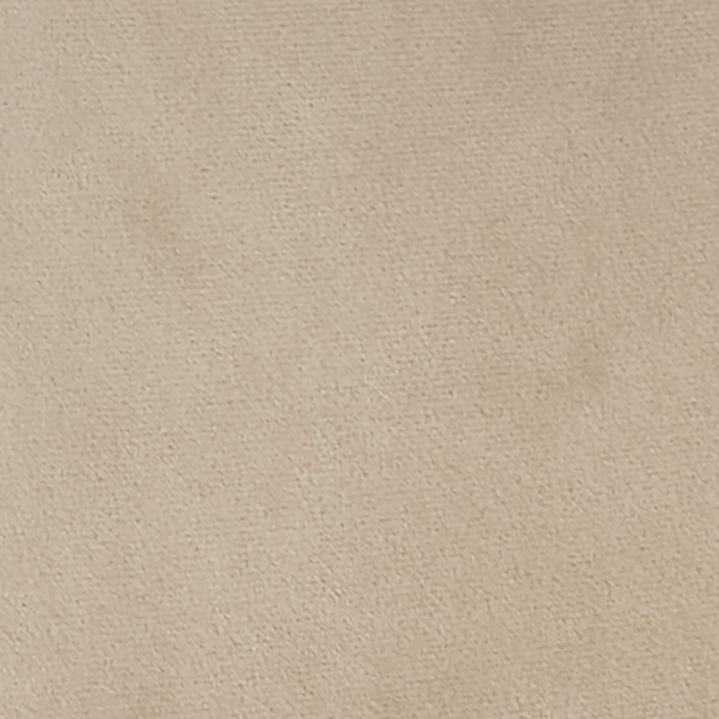 Oakley Set of 2 Champagne Velvet Upholstered Dining Chairs with Contrast Piping - Image 10