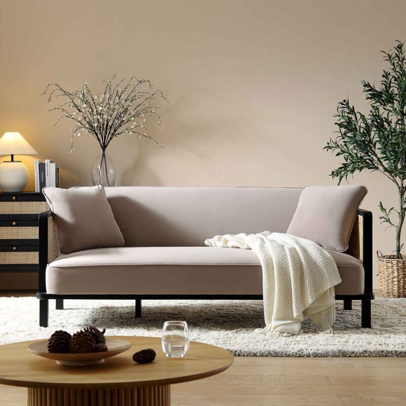 Pienza Cane Sofa Bed, Taupe Velvet with Black Solid Wood Frame - Image 2